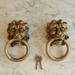 Large Solid Brass Lion Head Ring Pull Handles – Heavy Vintage Architectural Salvage Pair