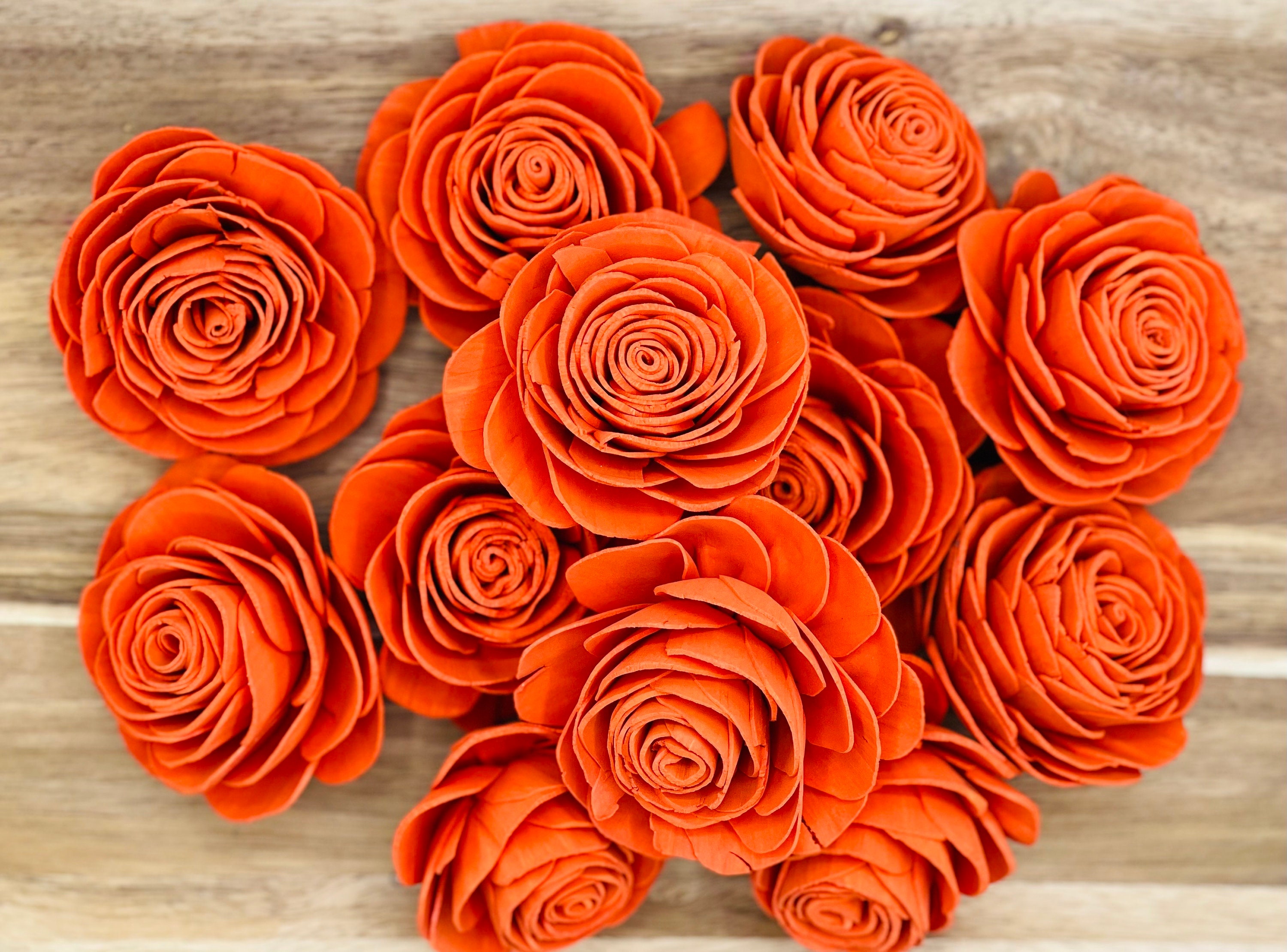 w.o.d.　F.L.O.W.E.R.S. il_fullxfull.5164627911_sewh.jpg