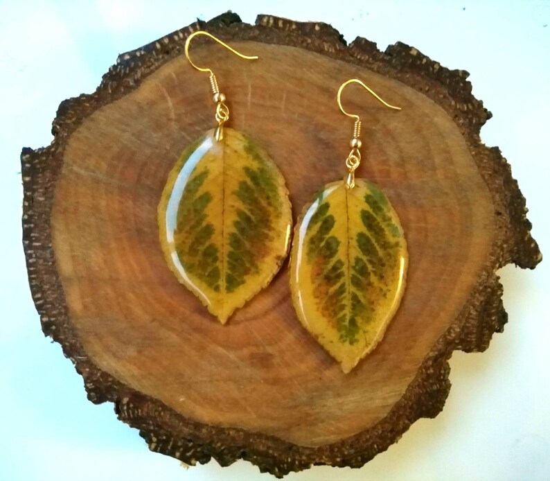 Real leaves earrings Resin earrings Forest jewelry Resin leaf Etsy