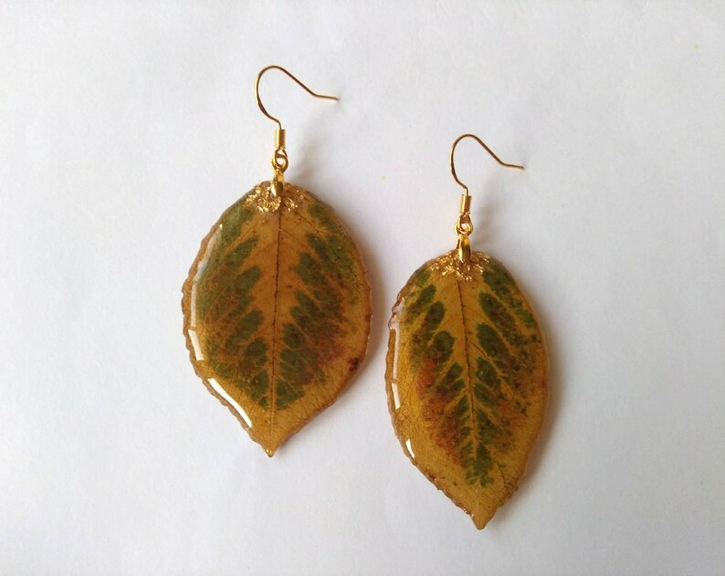 Real leaves earrings Resin earrings Forest jewelry Resin leaf | Etsy