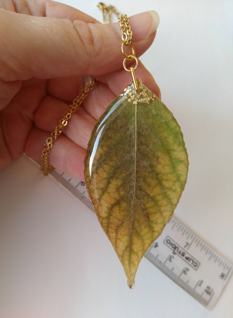 Real leaf necklace Real leaf jewelry Resin leaf Pendant Nature Etsy