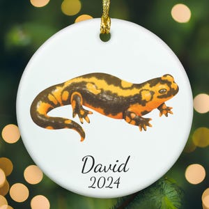 Personalized Salamander ornament, Salamander Christmas ornament, Salamander xmas ornament, APR011