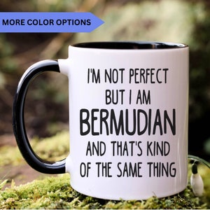 Bermudian Mug, Bermudian Gift, Gift for Bermudian, bermuda Gift, APO031