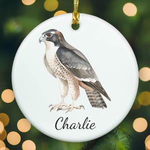 Personalized Falcon ornament, Falcon Christmas ornament, Falcon xmas ornament, APR011