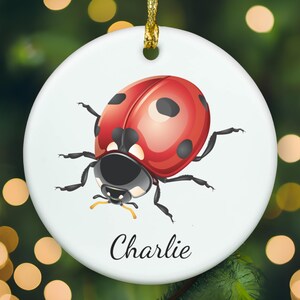Personalized Ladybird ornament, Ladybird Christmas ornament, Ladybird xmas ornament, APR011