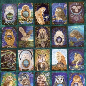 Enchanting Owl Postcard Collection