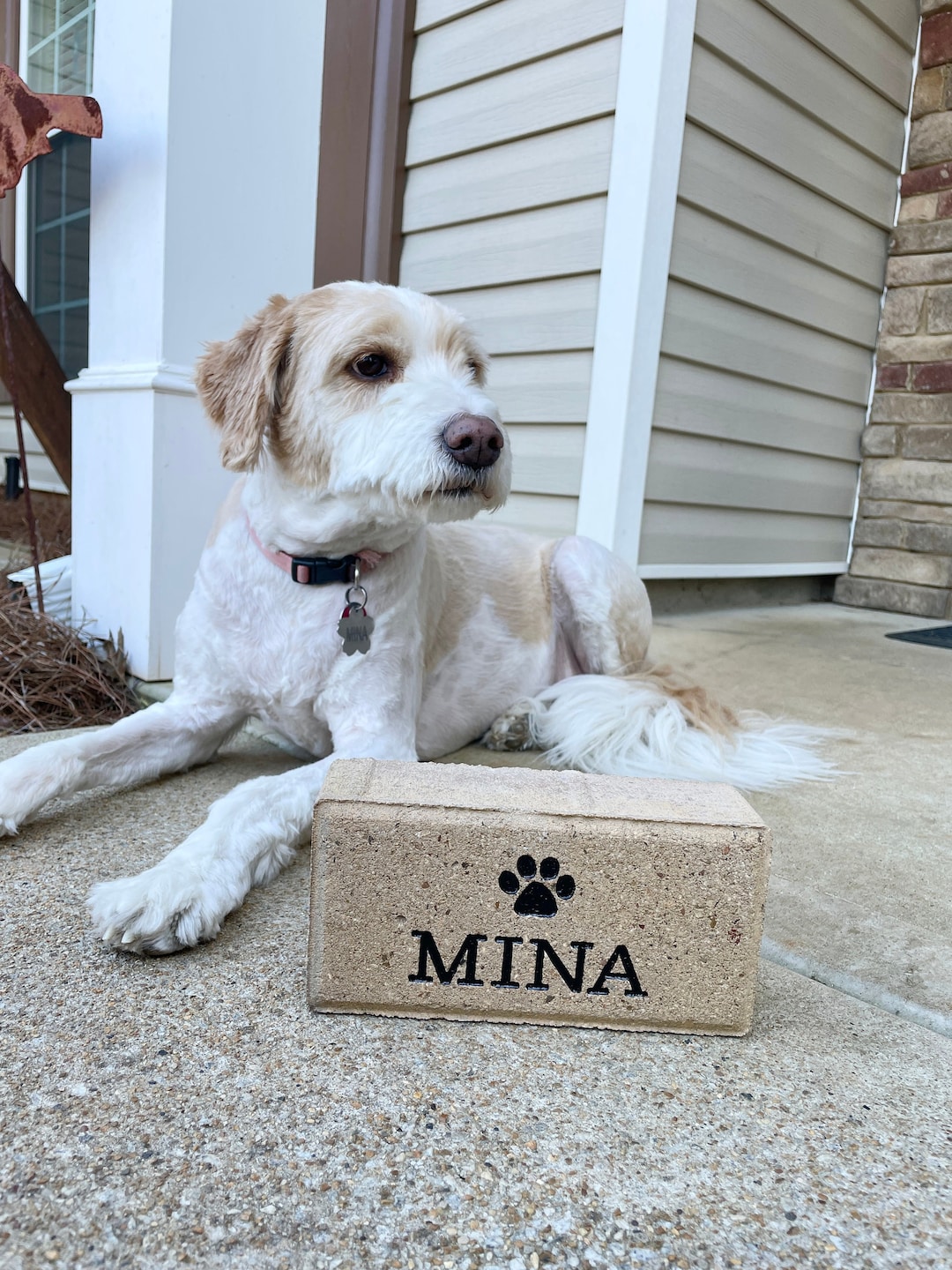 View of Custom Pet Sign Engraved Paw Pet Garden Stone Pet Gift for Dog Mom Gift ...