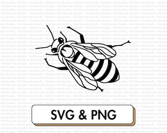 Honeybee SVG Clipart Bee Cut File for Sunroom Wall Art (Digital Download)
