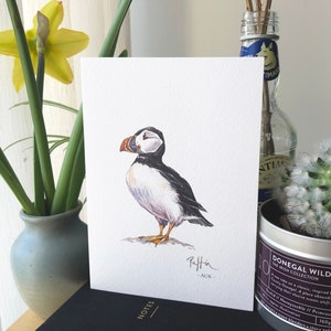 Cartão de saudação Puffin. Pássaro marinho, pintura em aquarela ilustrada, cartão A6. Cartão interno em branco