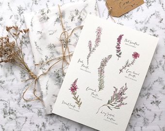 May include: A botanical print featuring watercolor illustrations of various heather species, including pink, bell, and cross-leaved heather. The print is accompanied by a wrapped gift tied with twine and a tag that says "with love."