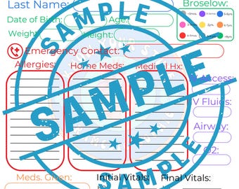 EMS Report/ Call Notes Template PDF