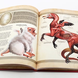 May include: Open book with illustrations of a griffin. One page shows a fluffy white griffin with text, the other page shows a detailed anatomical drawing of a griffin. The book has a red cover.