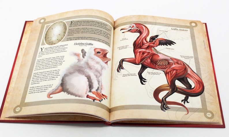 May include: Open book with illustrations of a griffin. One page shows a fluffy white griffin with text, the other page shows a detailed anatomical drawing of a griffin. The book has a red cover.