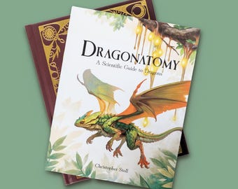 Matt Furie Zine: Dungeon Family - Etsy