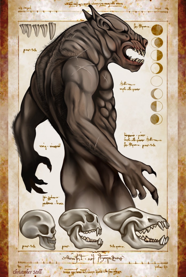 May include: Digital illustration of a werewolf with a detailed muscular physique, sharp claws, and fangs. The artwork includes sketches of skulls and a moon phase chart, set against a parchment-like background. The artist's name, Christopher Stoll, is visible.