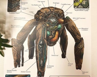Rocky the Alien Anatomy Poster | Project Hail Mary | Signed Limited Edition - Only 90 copies exist | 16x20 Matte Print | Sci-Fi Bio Decor