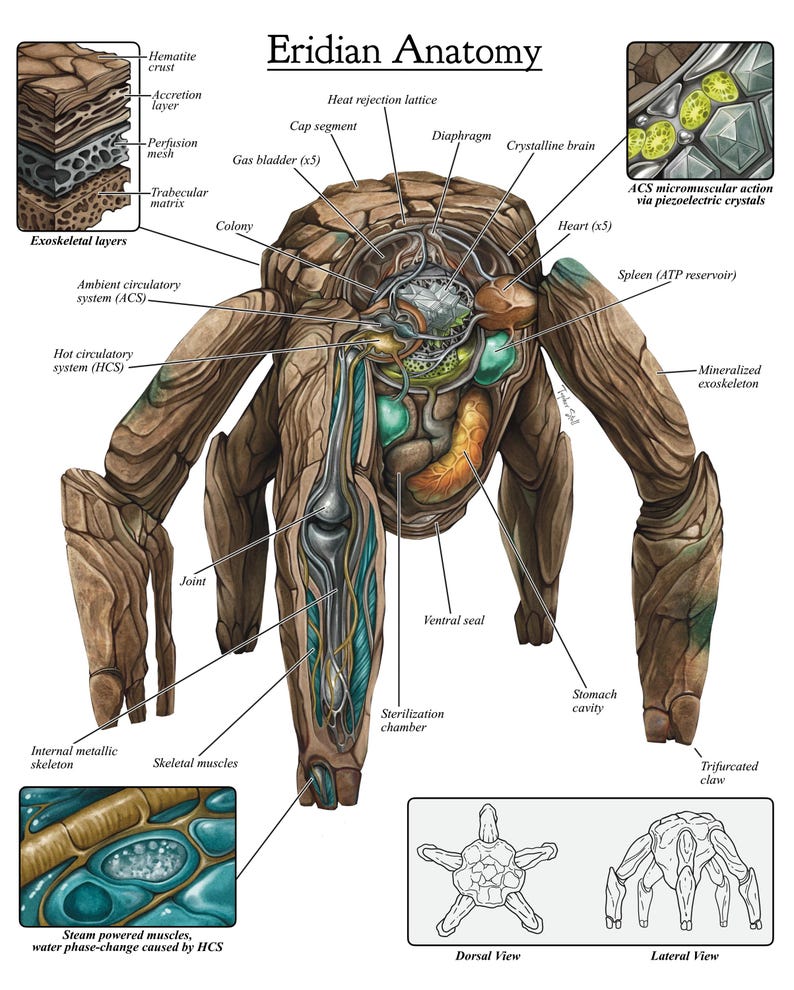 Rocky the Alien Anatomy Poster | Project Hail Mary | Signed Limited ...