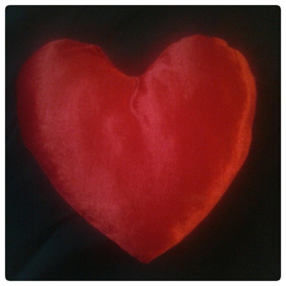 Coussin Coeur en Velours