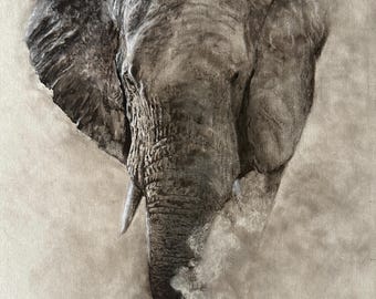 Elefante polvoriento, boceto original al carboncillo, bellas artes, artista, pinxitart