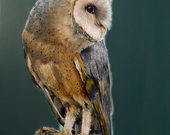 Impresión giclée de búho verde, edición limitada, obra de arte firmada