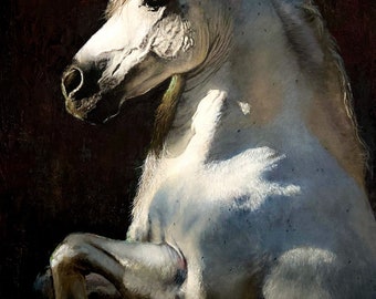 Impresión giclée de Caballo Blanco, edición limitada. Arte ecuestre de PaulH.