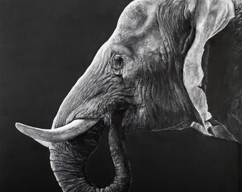 Impresión artística Giclée de elefante, edición limitada de obras de arte animal de PaulH