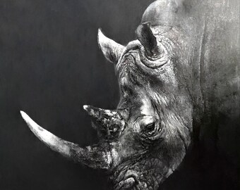 Rinoceronte de las sombras