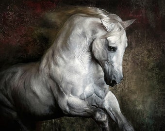 Impresión giclée firmada de un caballo, arte ecuestre de PaulH, edición limitada