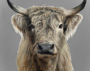 Impresión giclée de vaca de las Highlands, edición limitada de arte animal