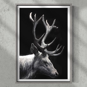 White stag limited edition Giclee print, signed, original art painting by PaulH, artwork, animal art, wallart, acrylic, wildlife, deer,black