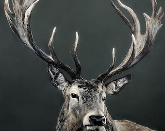 Impresión giclée de ciervo, edición limitada firmada. Arte de vida silvestre.