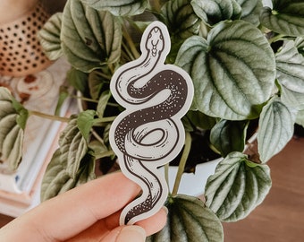 starry snake sticker // adventure + nature sticker