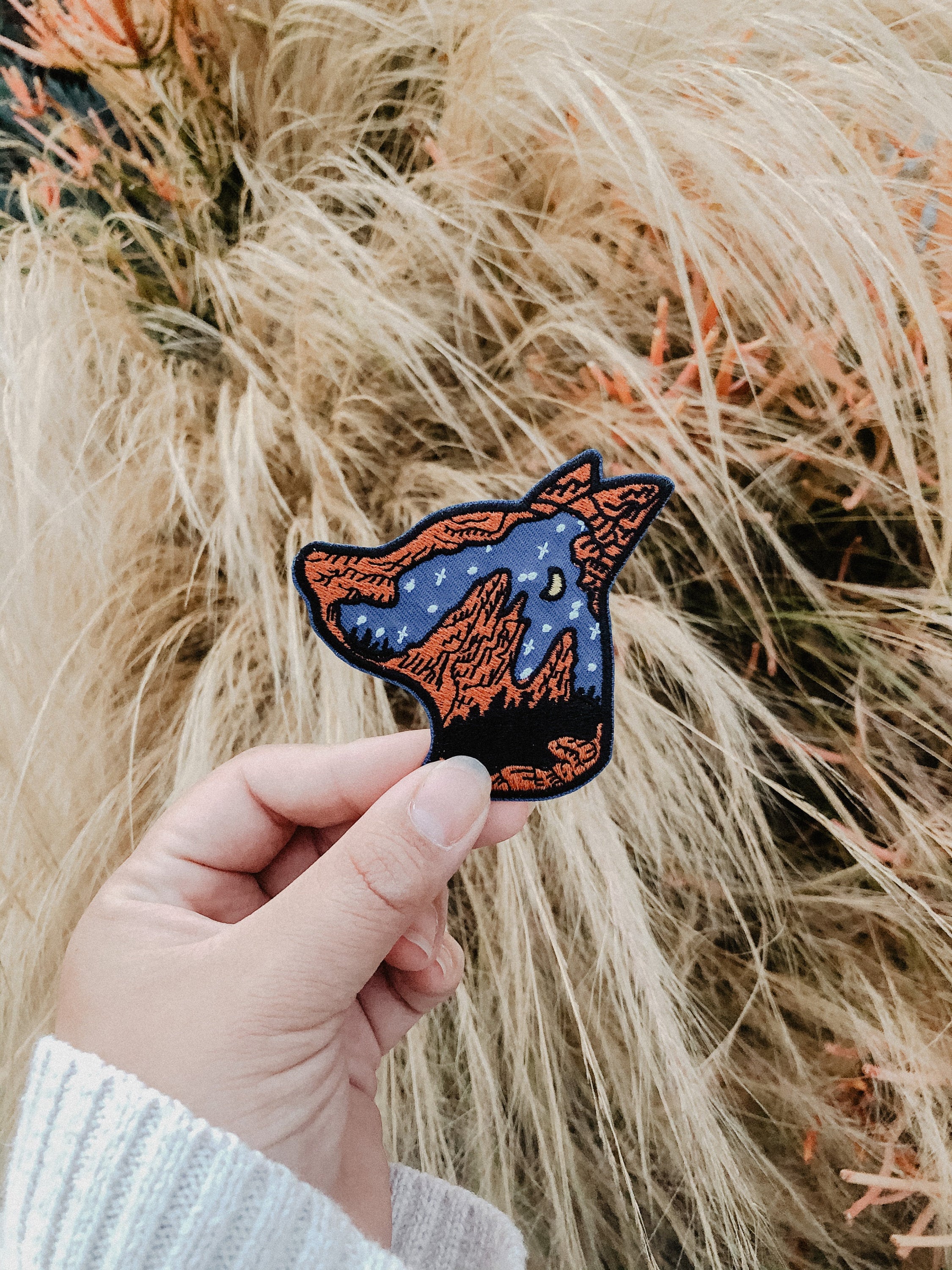 patch, dog, doggies, puppy, travel, outdoor, hiking, star, mountain, pet, doggy, traveling, explore, embroider, garden of the god, camping