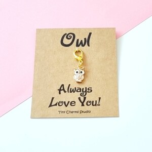 Owl Always Love You, Owl Lover, Owl charm, Owl stitch Marker, Gift For Her/Him