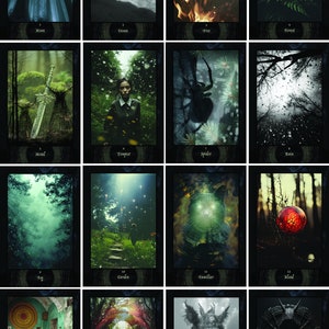 Pu&ograve; includere: Un set di 16 carte dei tarocchi con sfondi scuri e immagini di natura, persone e creature. Le carte sono numerate da 1 a 16 e hanno titoli come "Luna", "Oceano", "Fuoco", "Foresta", "Metallo", "Tempesta", "Ragno", "Pioggia", "Nebbia", "Giardino", "Familiare", "Sangue", "Tempio", "Portale", "Maschera" e "Femminile Oscuro".