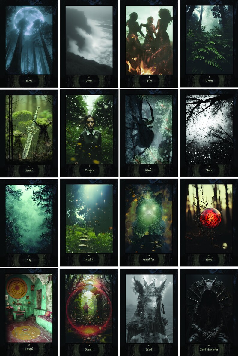 Pu&ograve; includere: Un set di 16 carte dei tarocchi con sfondi scuri e immagini di natura, persone e creature. Le carte sono numerate da 1 a 16 e hanno titoli come "Luna", "Oceano", "Fuoco", "Foresta", "Metallo", "Tempesta", "Ragno", "Pioggia", "Nebbia", "Giardino", "Familiare", "Sangue", "Tempio", "Portale", "Maschera" e "Femminile Oscuro".