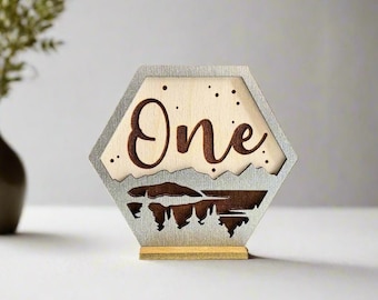 Silver Hexagon Wedding Table Number Engraved - Natural Theme Rustic Wedding Signage for Wedding Reception Centerpieces - Event Table Decor