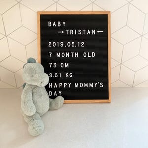 May include: A black felt letter board with white letters spelling "Baby Tristan - 2019.05.12 - 7 month old - 73 cm - 9.61 kg - Happy Mommy's Day". A green plush dinosaur toy is in the foreground.
