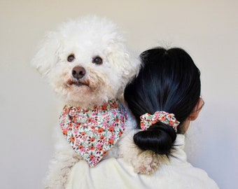 Dog Bandana and Scrunchie / Rifle Paper Co / Over the Collar / Matching Dog and Owner / Puppy Bandana / Dog Bandana Summer / Dog Accessories