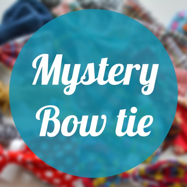 Mystery Dog Bow tie / Mystery Bow Tie / Mystery Dog Bow / Surprise Dog Bow / Fun Dog bow tie / Pet bowtie / Mystery Pet Bow Tie / Add On
