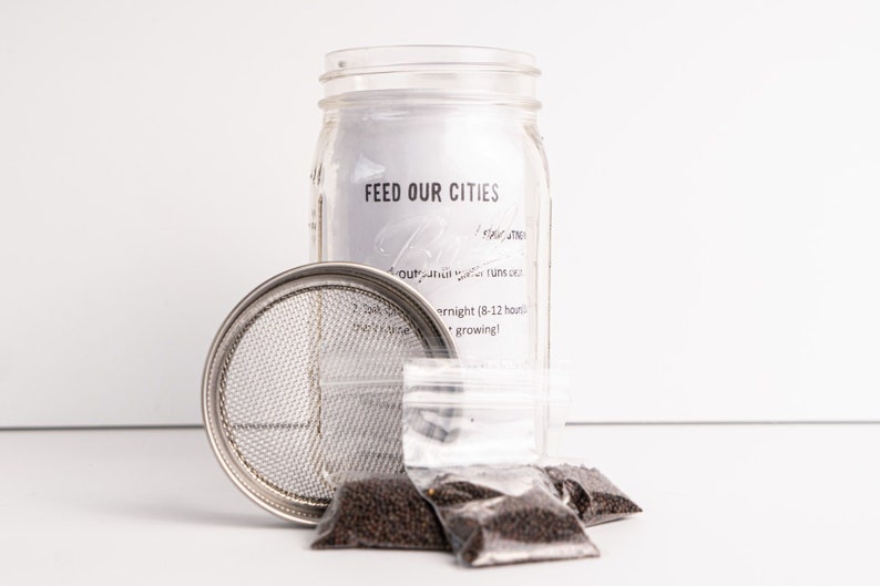 Sprout Grow Kit Seed Sprouting Kit Organic Broccoli Etsy