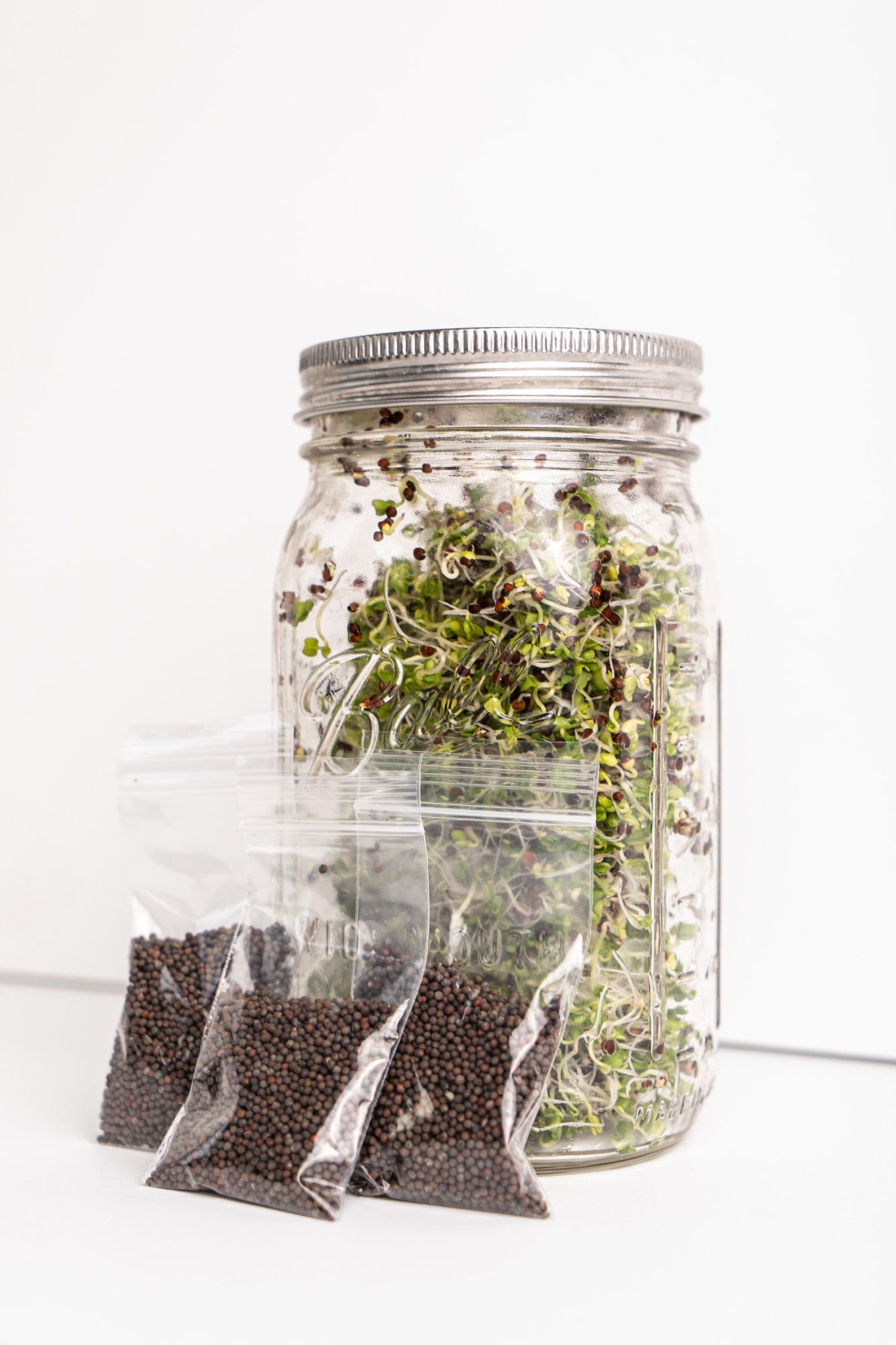 Organic Broccoli Sprouting Kit Seed Sprouting Kit Etsy