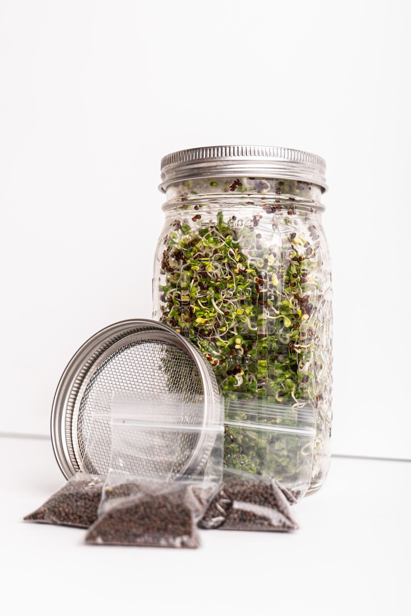 Sprout Grow Kit Seed Sprouting Kit Organic Broccoli Etsy