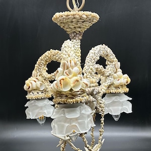 May include: A white seashell chandelier with three frosted glass shades. The chandelier is made entirely of seashells and has a rustic, coastal feel.