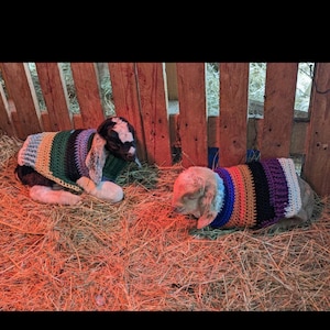 Goat coat. Small goat coat. Small goat/ sheep coat. Crochet goat/ sheep coat.