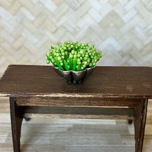 May include: A miniature green plant in a silver bowl on a brown wooden table.