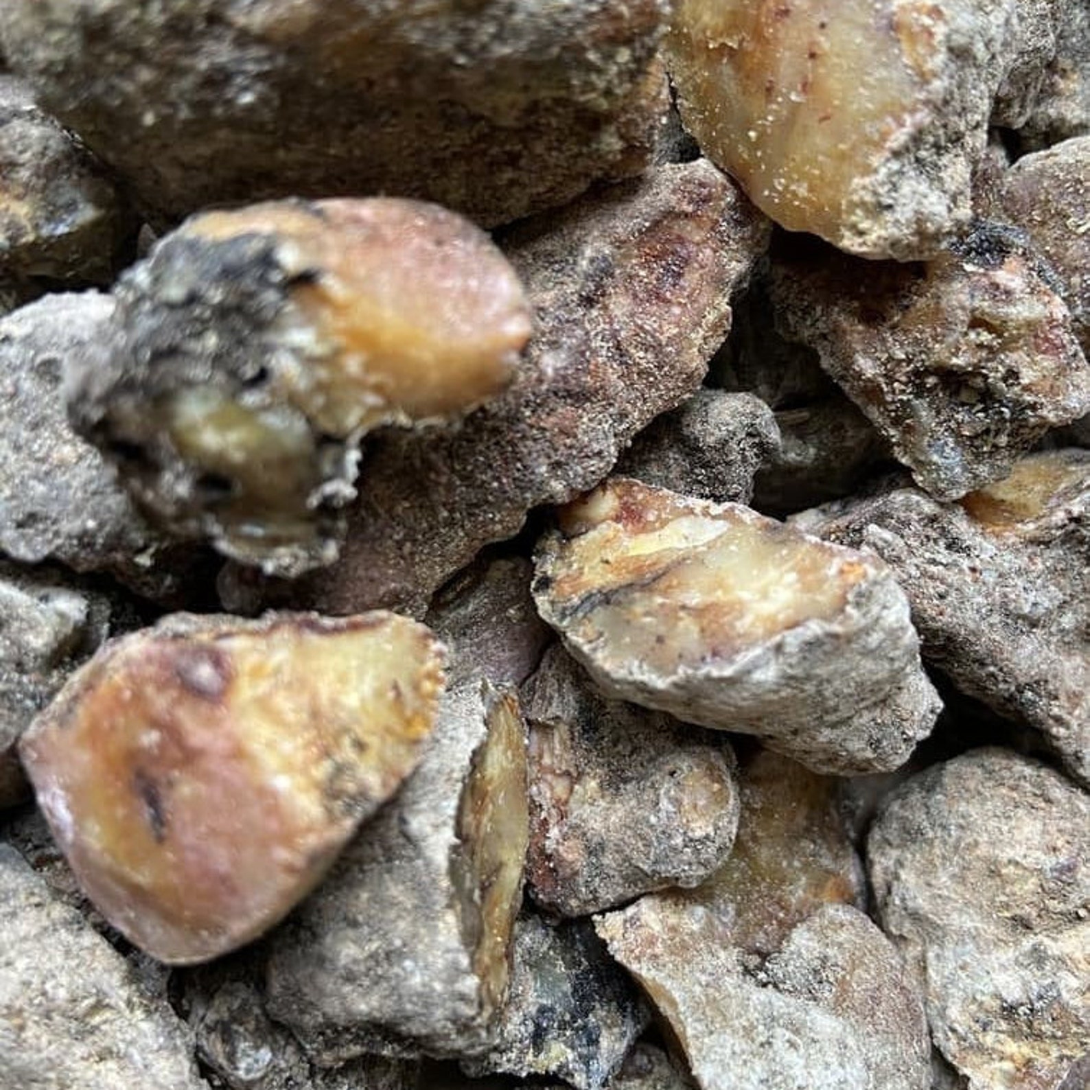 Pine Resin RAW Pine Sap from Lithuania natural & ethically Etsy