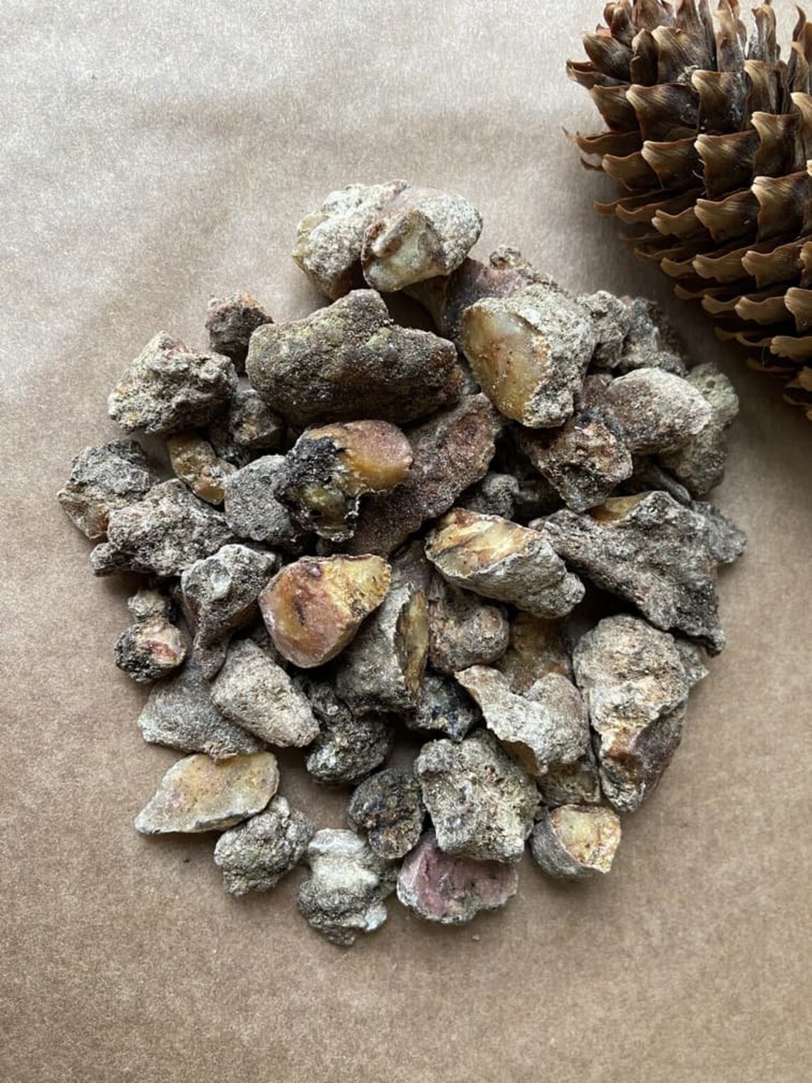 Pine Resin RAW Pine Sap from Lithuania natural & ethically Etsy