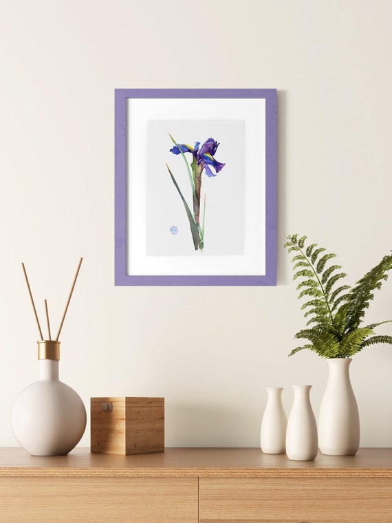 Print of Blue Iris Watercolor Painting Iris Home Decor - Etsy