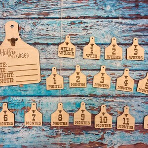 Western Cattle Tag Baby Milestone / Birth Announcement / Photo Prop